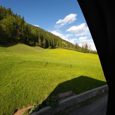Haus Garz Daire Weissensee Dış mekan fotoğraf