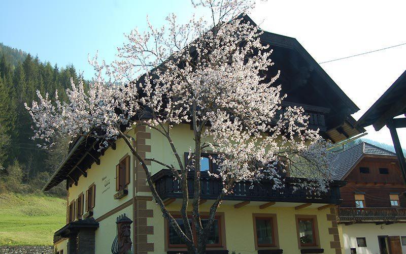 Haus Garz Daire Weissensee Dış mekan fotoğraf